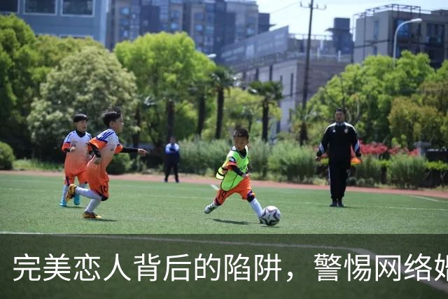 完美恋人背后的陷阱，警惕网络婚恋诈骗新变种